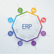 magento exact online