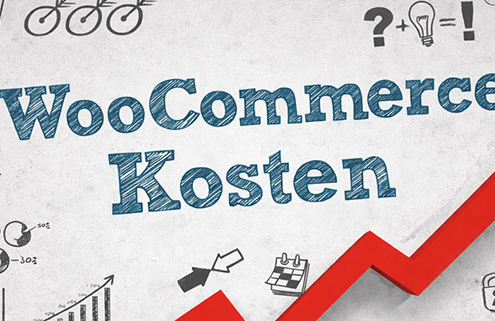 WooCommerce webshop laten maken kosten