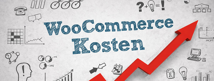 WooCommerce webshop laten maken kosten
